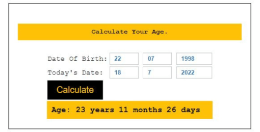 MOZO Age Calculator HTML Code For All Type Of Website