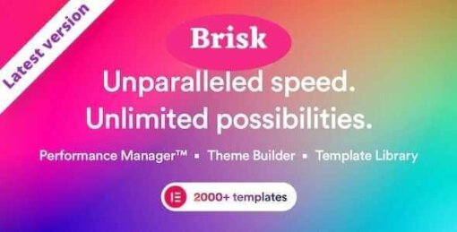 Brisk Theme GPL v3.2.10 For Multi-Purpose Elementor WordPress Websites