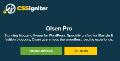 CSS Igniter Olsen Pro GPL v2.8.1 WordPress Blogging Theme