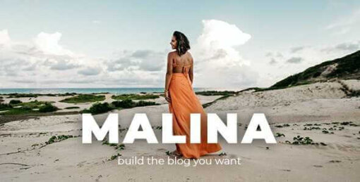 Malina Theme GPL For Personal WordPress Blog Theme