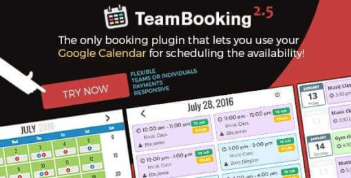 Team-Booking-WordPress-booking-system