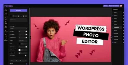 Palleon WordPress Image Editor