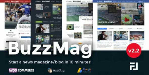 BuzzMag Theme GPL