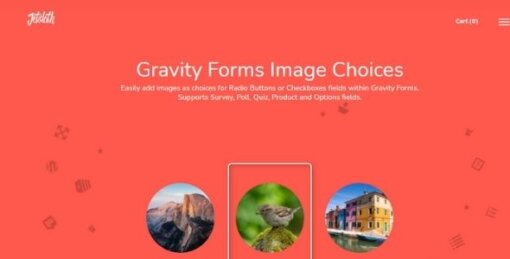 Gravity Forms Image Choices GPL